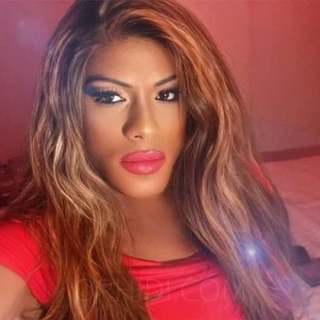 Brandneu TS Mistress Donatella — 9 / 18