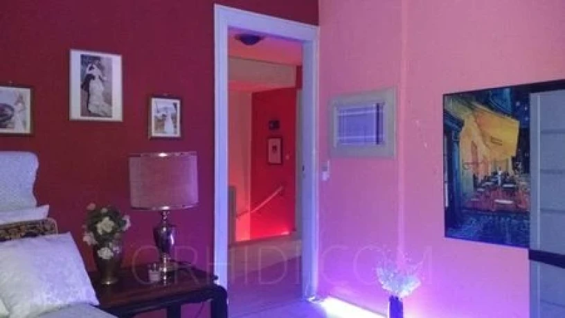 Haus Exotica — 2 / 13