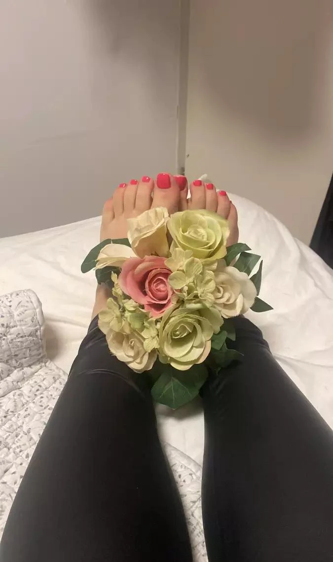 Sylvie Is Geil — 11 / 17