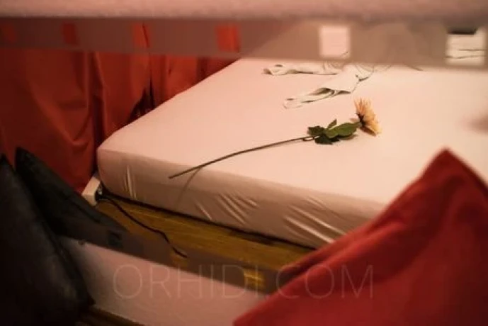 Glamour-Massage-Frankfurt — 13 / 20