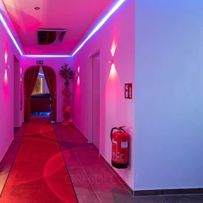 4634, Escort, Vienna