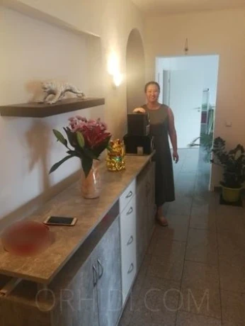 Saarmassage Rote Sonne — 7 / 14