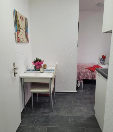 Gallen St Gallen Diskrete Private Wohnung Wochenmiete Es En De — 2 / 5