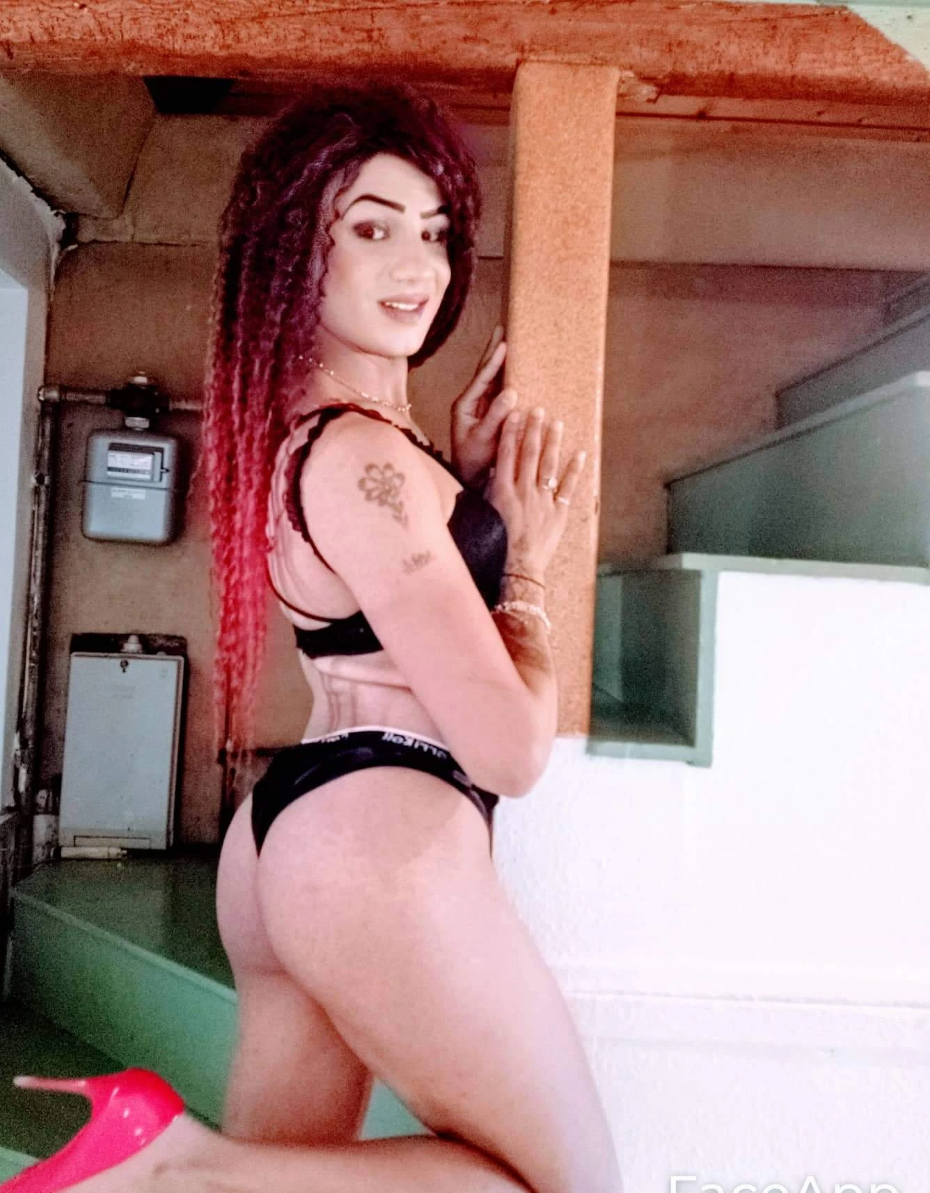 Trans Pamela7, Escort, Wittenberge