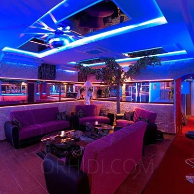 3955, Escort, Vienna