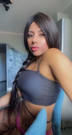 TS Ariana Fernandez — 11 / 18