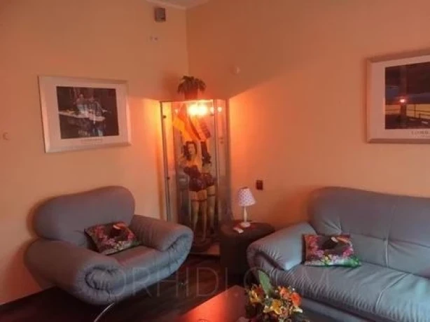 Hotcats Club — 3 / 17