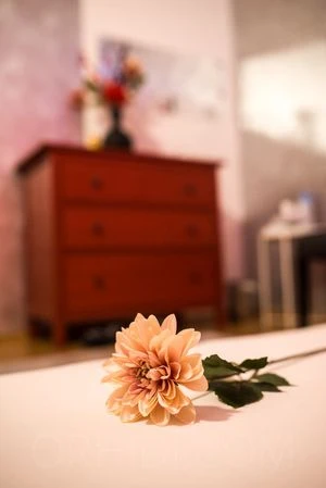 Glamour-Massage-Frankfurt — 10 / 20