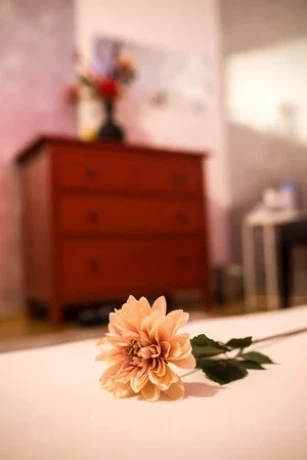 Glamour-Massage-Frankfurt — 10 / 20