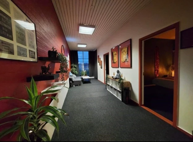 Professional Thai massage — 5 / 8