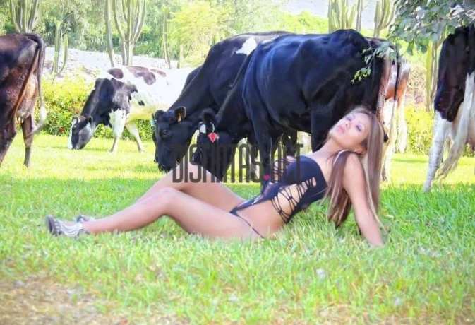 Katalina Top — 4 / 8