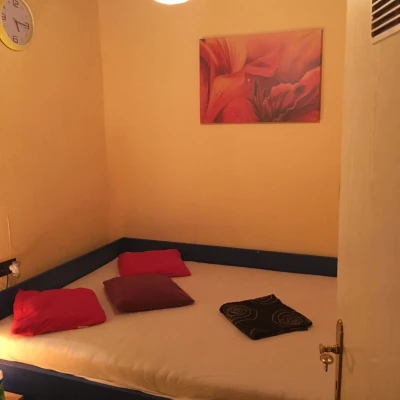 9087, Escort, Vienna