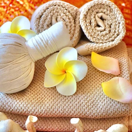 Thai Frau Und Thai Ts — 2 / 3