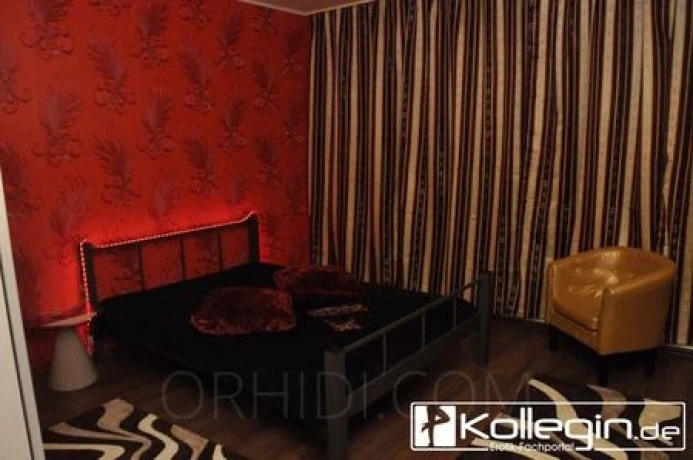 Eroscenter - Laufhaus  Regensburg — 7 / 11