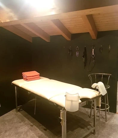 Ragaz Domina Studio Sm Raum Zu Vermieten In Bad Ragaz Tages Oder Wochenmiete — 3 / 5