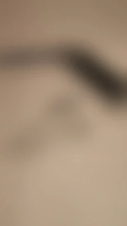 Lady Julia — 5 / 8