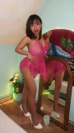 THAI ZIZI — 3 / 4
