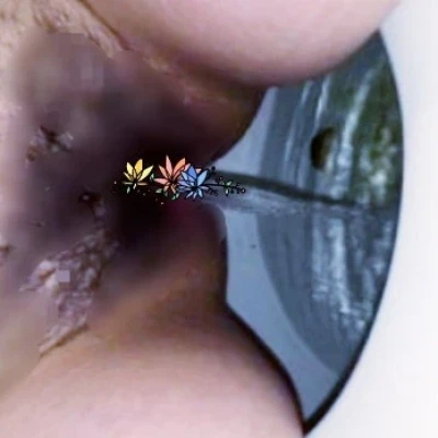 Beata 50 J Sehr Behaarte Milf, Escort, Darmstadt