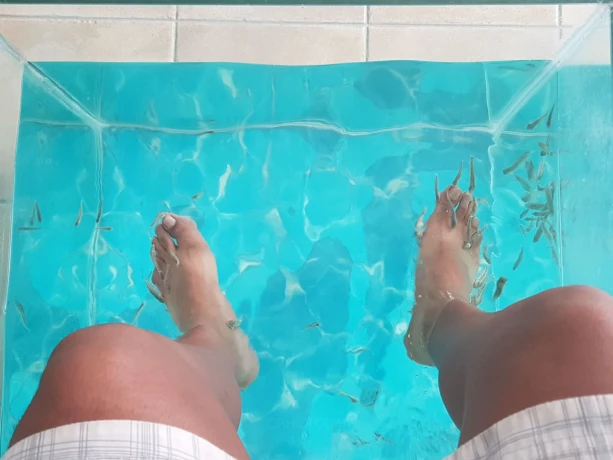 Suki miss English  — 2 / 3