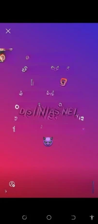 Alexa Lotge — 11 / 12