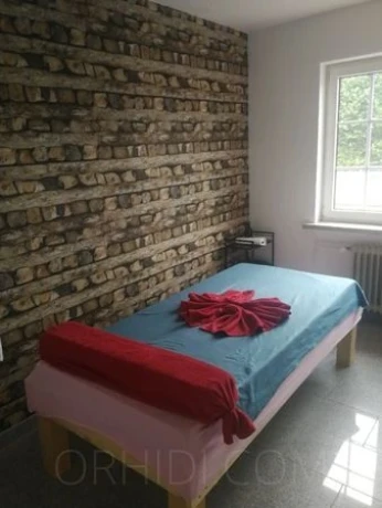 Saarmassage Rote Sonne — 9 / 14