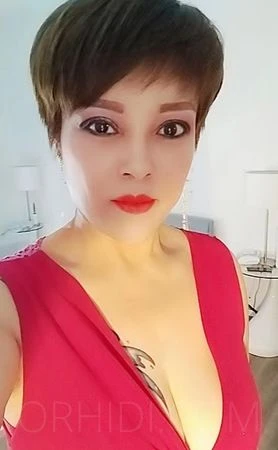 Suko, Escort, Mannheim