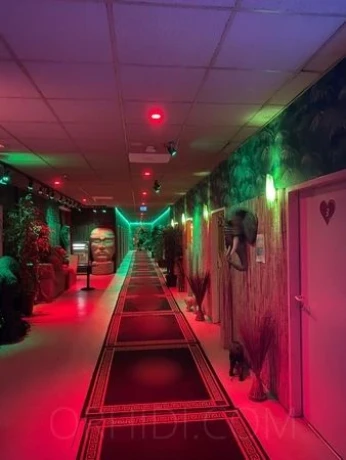 Eroscenter Crazy Jungle — 1 / 3