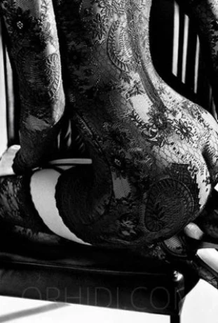 Emily VIP Companion — 4 / 9