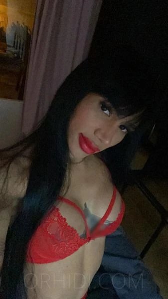 TS Ashley, Escort, Dusseldorf