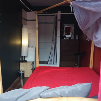 8923, Escort, Vienna