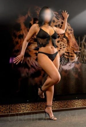 Livana, Escort, Schiphol