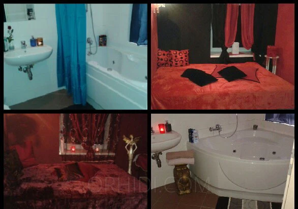 8439, Escort, Vienna