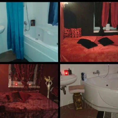 8439, Escort, Vienna