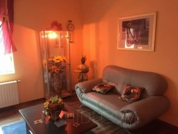 Hotcats Club — 2 / 17