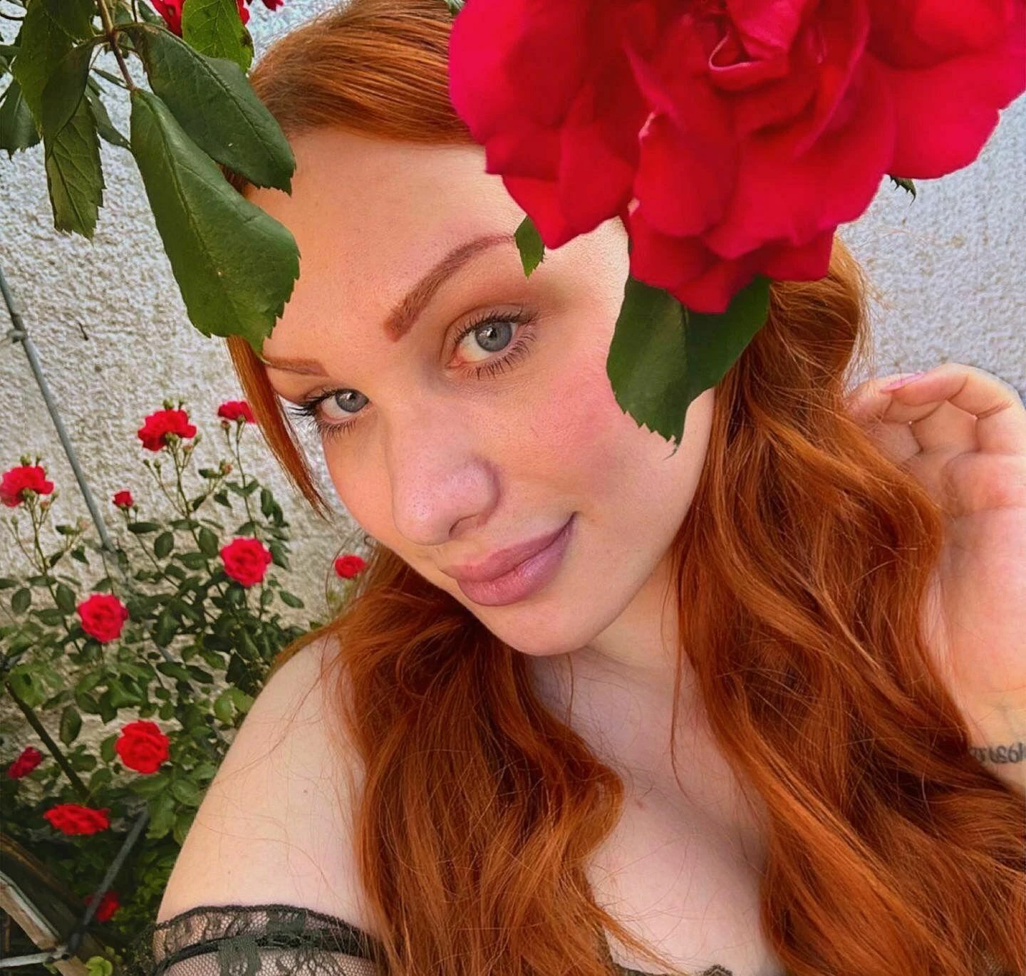 Ginger — 9 / 10