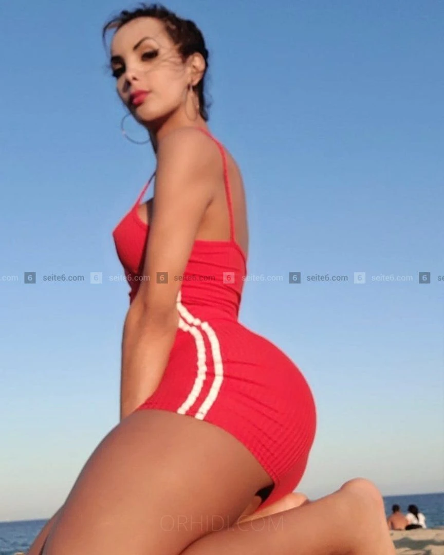Trans Dulce, Escort, Bunde