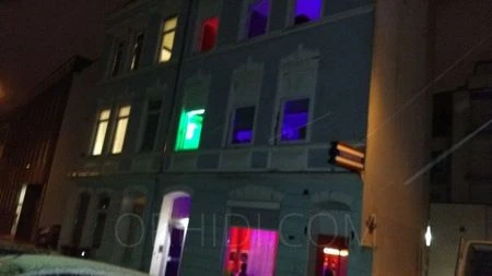 Haus Exotica — 6 / 13