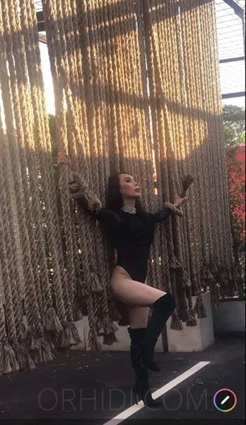 TS Miho, Escort, Dresden