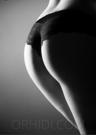 Lilly-Neu — 3 / 4