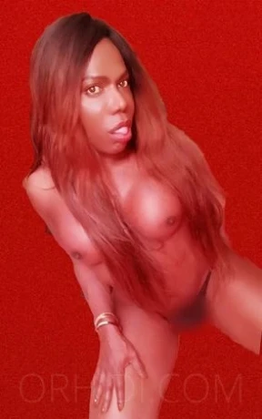 TS PANTERA BLACK XXL — 4 / 16