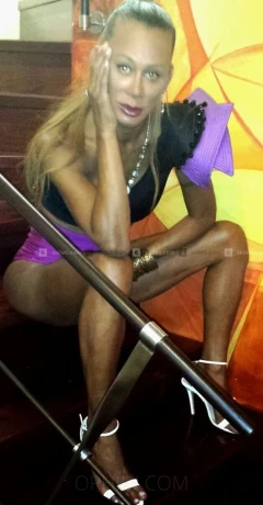 Top Trans Brenda das Original 100 — 1 / 7