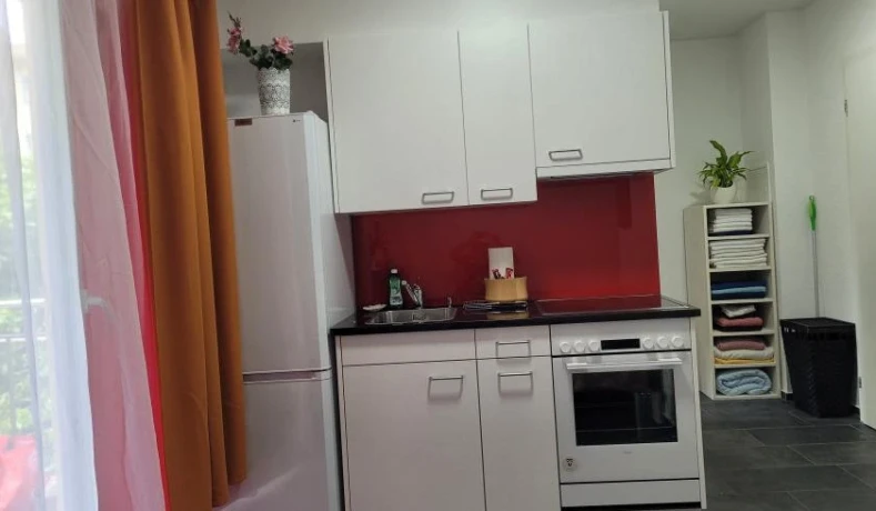 Gallen St Gallen Diskrete Private Wohnung Wochenmiete Es En De — 4 / 5