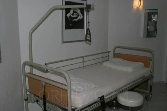 Hotcats Club — 11 / 17