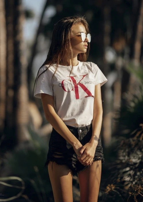 Sierra — 3 / 4