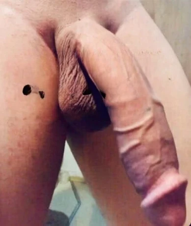 Delice 23cm — 11 / 12