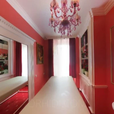 4008, Escort, Vienna