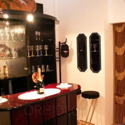 3792, Escort, Vienna