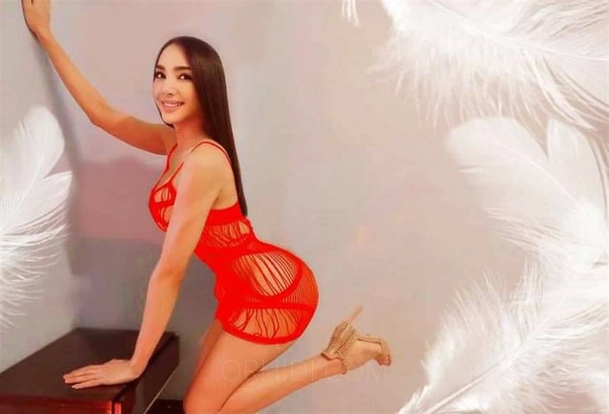 TS ANDA, Escort, Recklinghausen