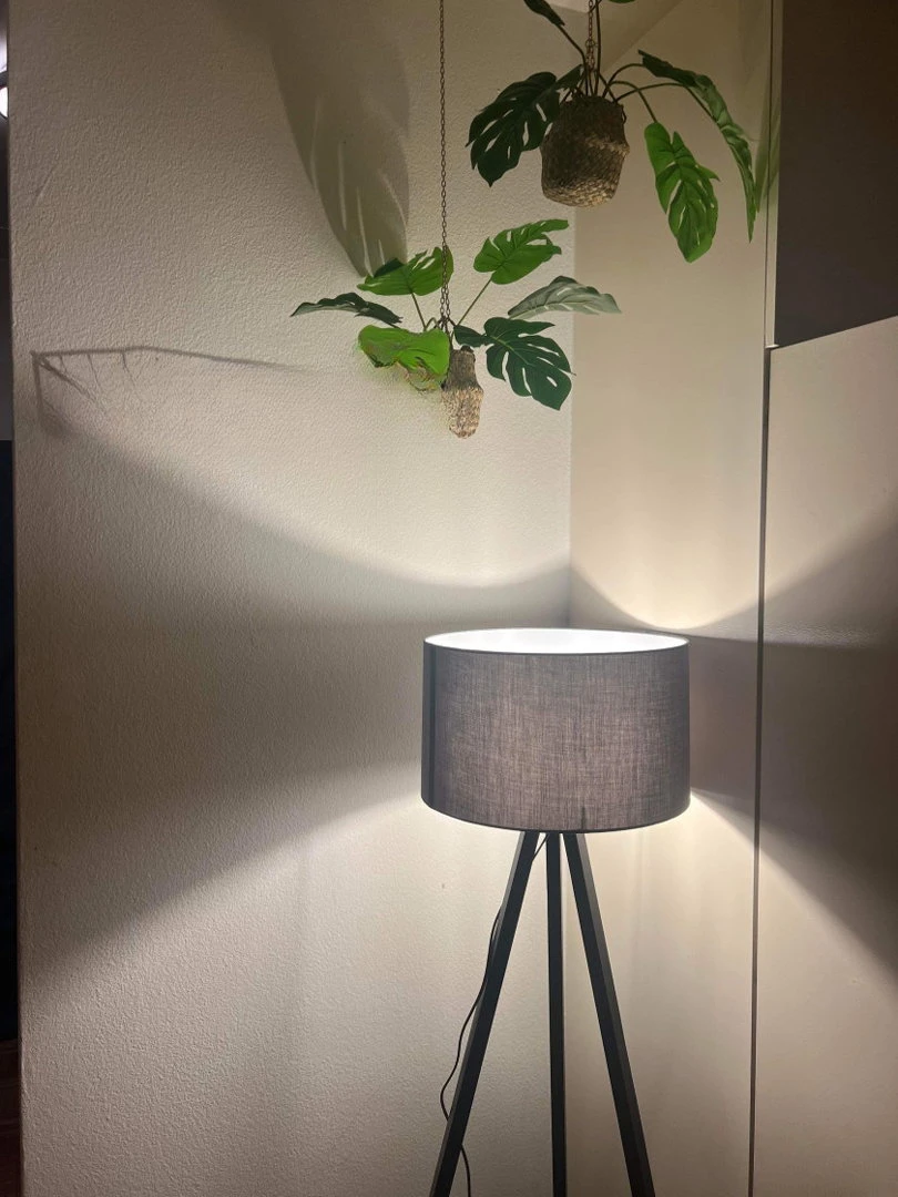 Apartment In Zuerich City — 2 / 5