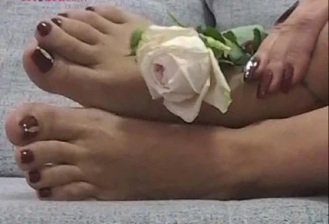 Carlealetta — 5 / 12